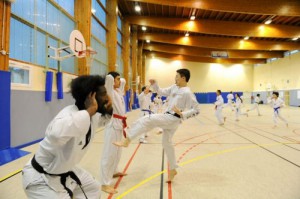 taekwondo_1